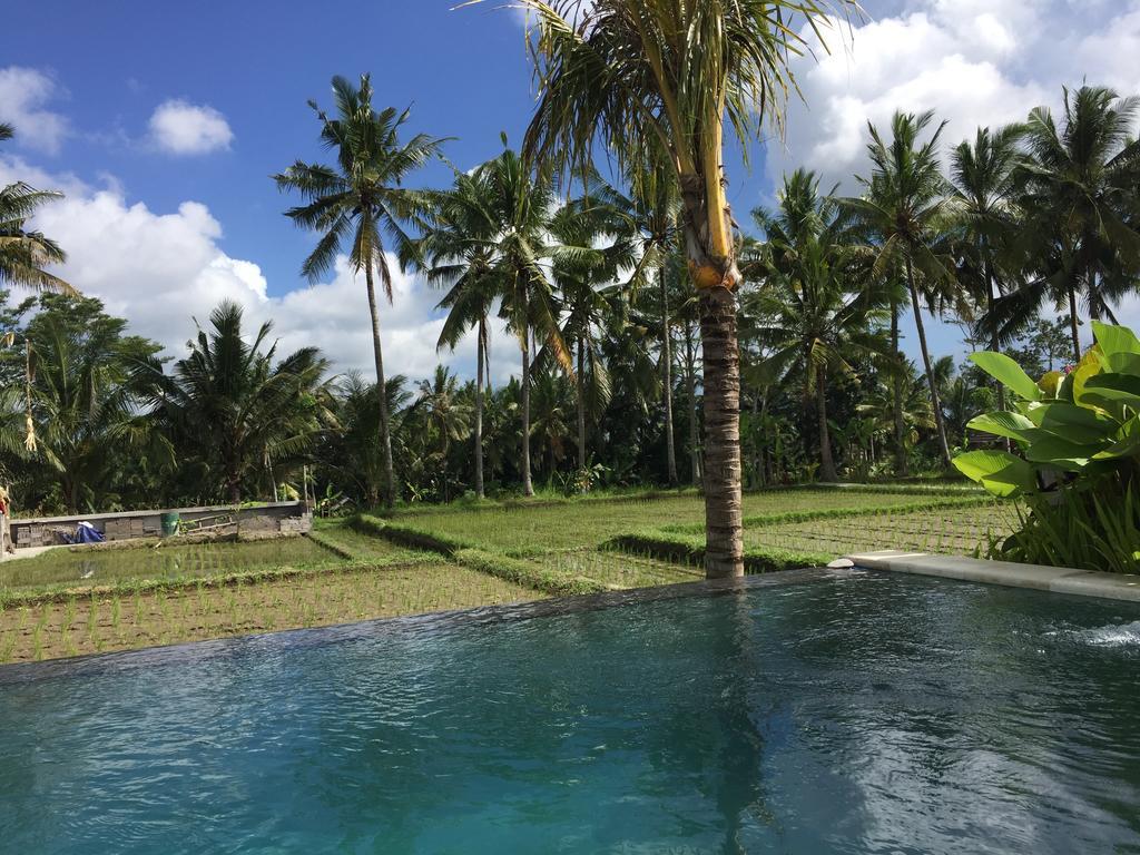 The Suris Ubud ภายนอก รูปภาพ