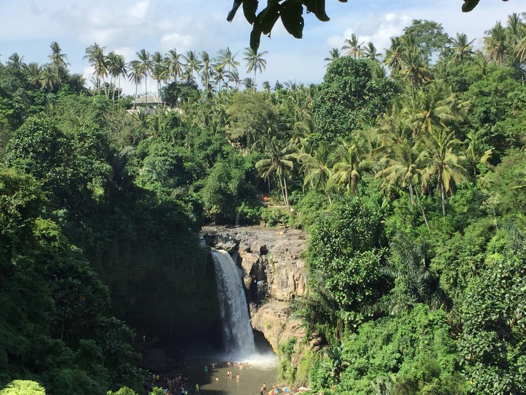 The Suris Ubud ภายนอก รูปภาพ